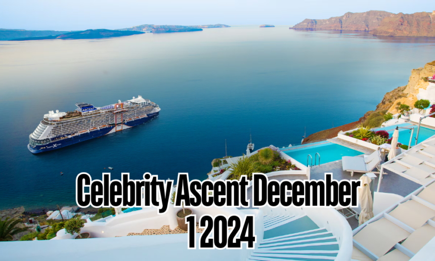 celebrity ascent december 1 2024