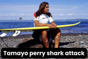 tamayo perry shark attack